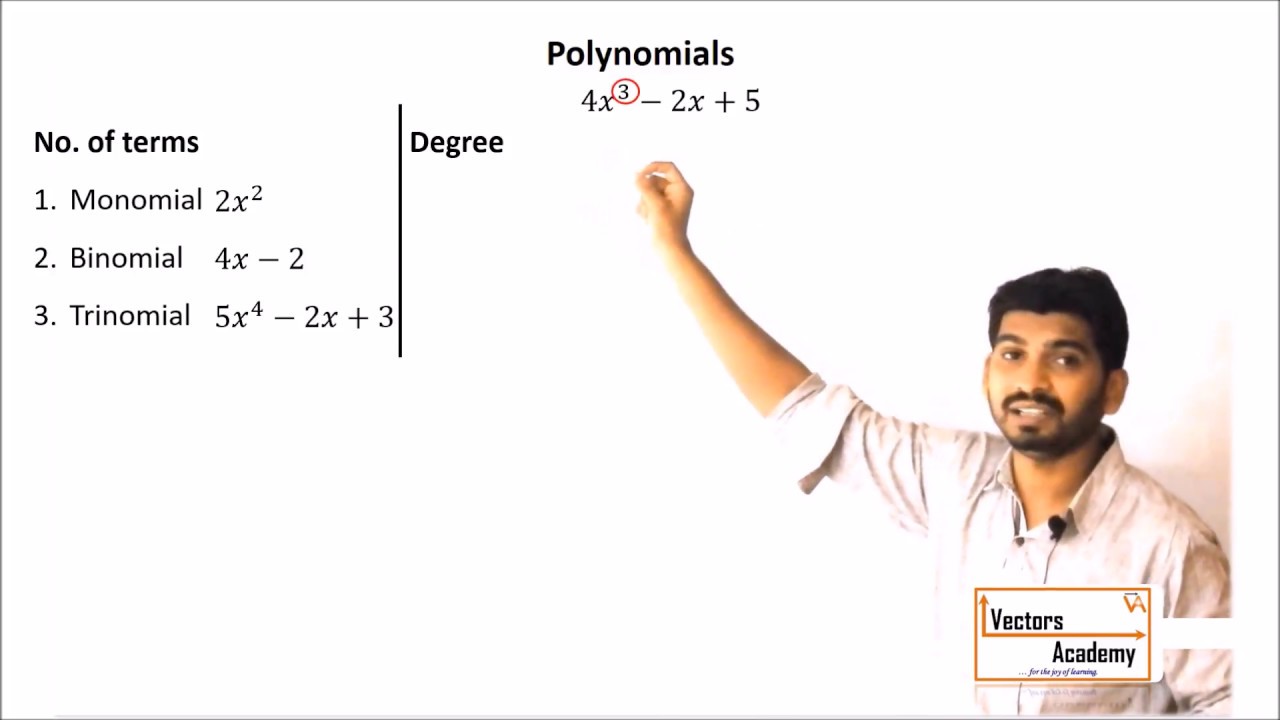Understanding Polynomials - YouTube