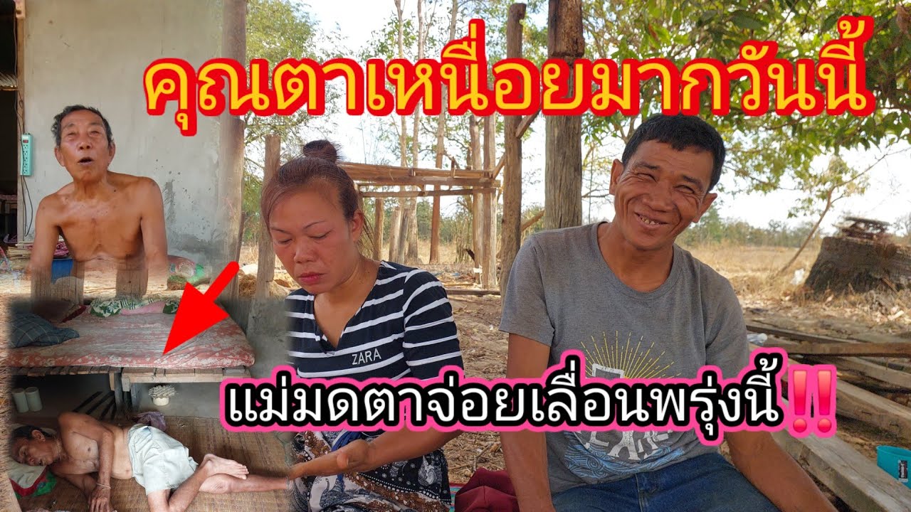 คุณตาเหนื่อยวันนี้ไม่ยอมออกจากห้องน้ำเลย‼️😱😢ตายายไม่รู้ว่าแม่มดต่าจ่อยเอาเงินมาจากไหนซื้อหมู2/3/2026