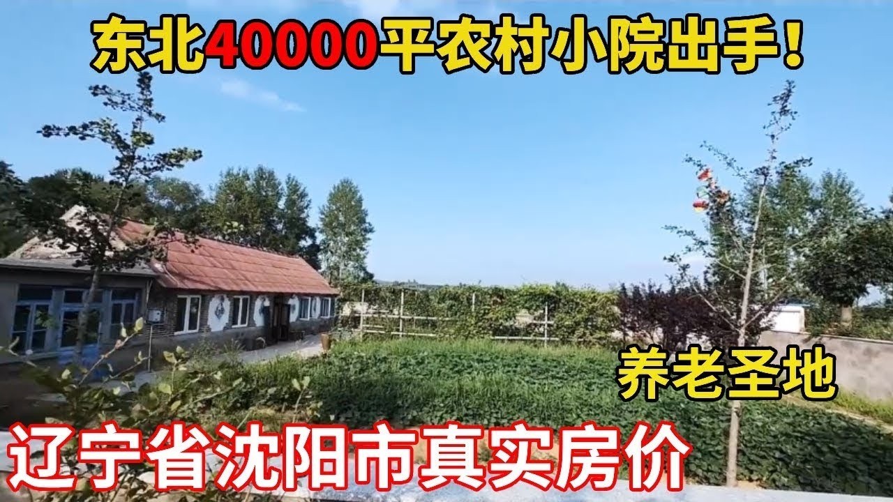 东北农村小院真实房价！送地都是最基本的，四万平院子出手太豪横【鬼头看房】