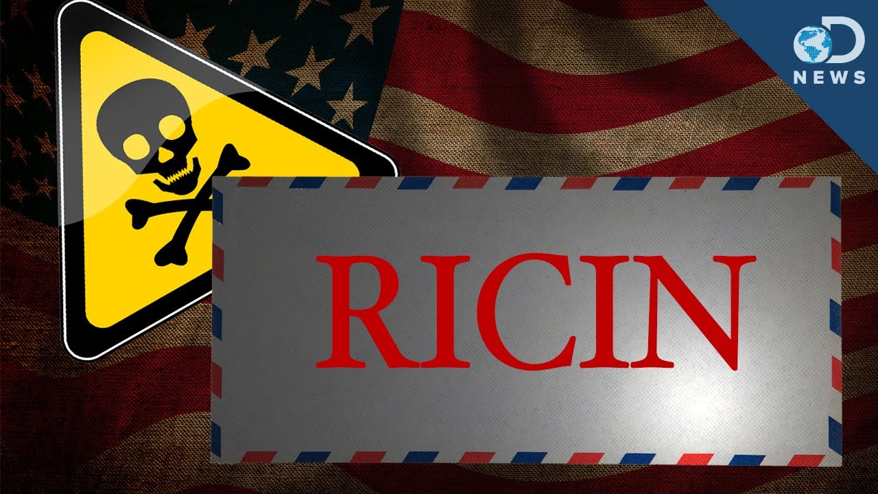 Ricin Letters: What's So Dangerous? - YouTube