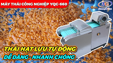 Cận Cảnh Máy Thái Rau Củ Hạt Lựu Các Kích Cỡ Cho Bếp Công Nghiệp| Điện Máy 3G