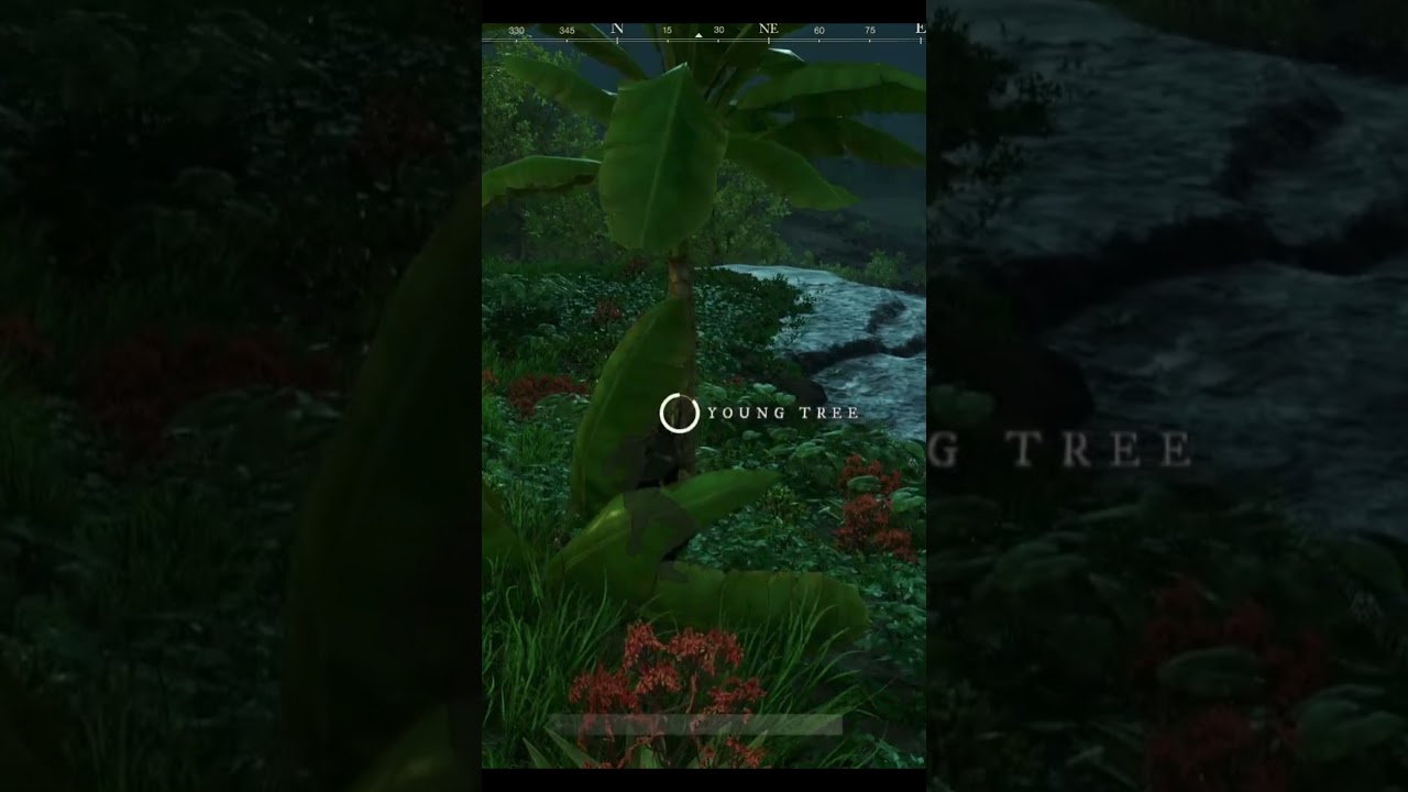 New World PvP Vs PvE YouTube