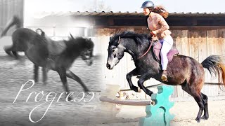 You have to have a lot of PASSION  - Three months with my trainingshorse Shadow