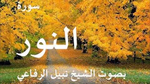 سورة النور بصوت الشيخ   نبيل الرفاعي 24