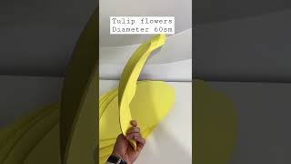 Tulip flowers, DIY