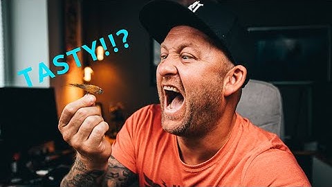This fly is INSANE - You´re basically CHEATING! Fly tying tutorial. Baitfish, streamer.
