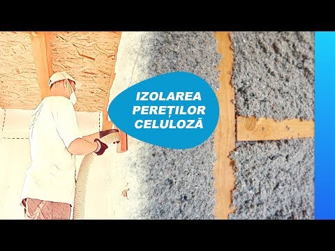 Video: Razlika Med Celulozo In Celulazo