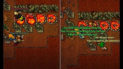 Rookgaard Traps by Mystic Stayer.