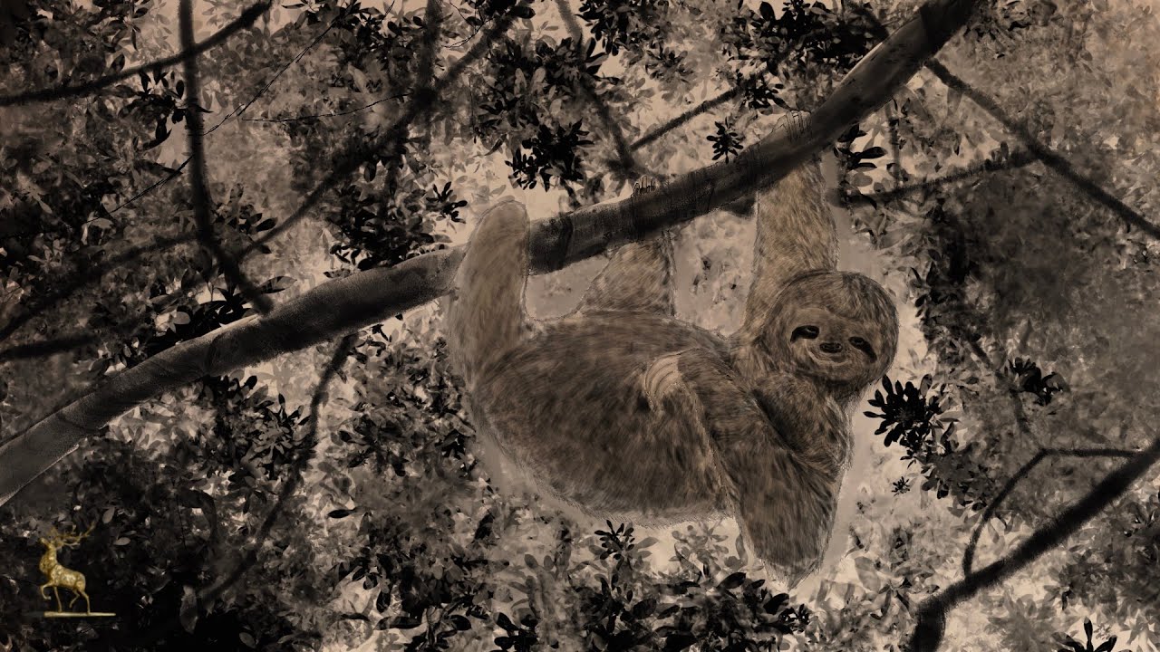 Toned Tan Ecotherapy Screensaver - Slothing Around