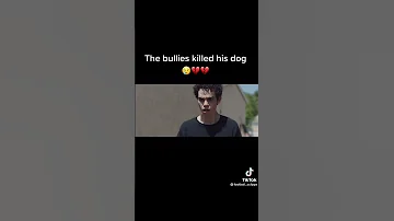 ☠️bruhh the bullies litterly just killed his dog that is just messed up☠️