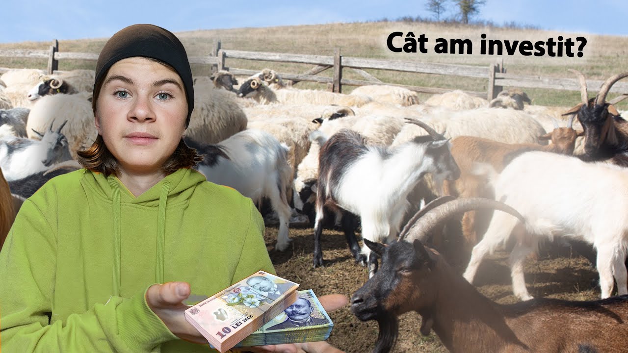 Cati Bani am cheltuit în ultimul an cu caprele?!