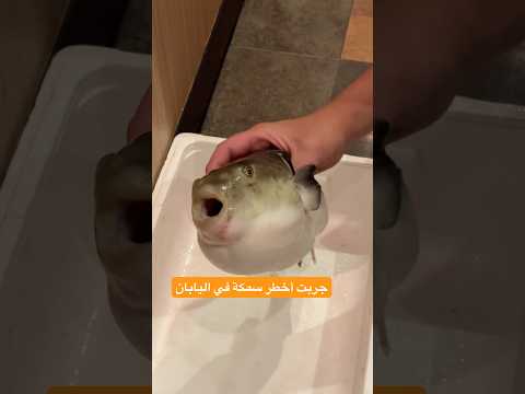أكلت أخطر سمكة في العالم