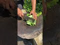Chop to bottom no jamming, grass cutting tip revealed