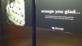 ThyssenKrupp hydraulic elevators @ Hampton Inn Newark, NJ