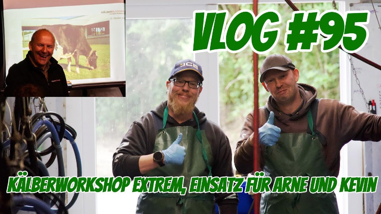tứ quý bài Farm-Vlog 95 Kälberworkshop auf dem Hof und Arne und Kevin müssen beim melken ran