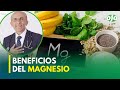 Conoce los beneficios del magnesio por el Dr.Pérez Albela