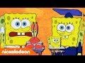 Bob Esponja | Aprender de Bob Esponja | Pt.2 | España | Nickelodeon en Español