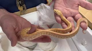 Unboxing Video 4292021