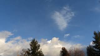 DSCN0131
