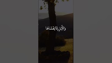 قرآن راحة نفسية --_ ستوريات قران كريم _قرآن حلات واتس اب