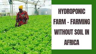 Farming Without Soil in Africa, Hydroponic: Interview with a modern farmer and investor