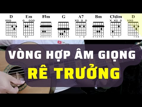 Giọng rê trưởng D và các hợp âm trong giọng rê trưởng | Học guitar online miễn phí 2023 mới nhất