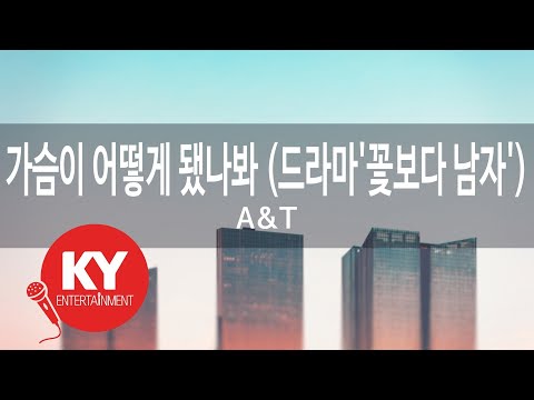KY ENTERTAINMENT 가슴이 어떻게 됐나봐 드라마 꽃보다 남자 A T KY 46597 KY Karaoke