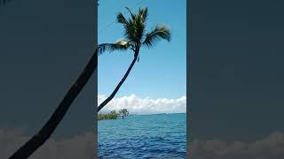 #ytshorts#tabingdagat#calmingsea#nature#enjoy!