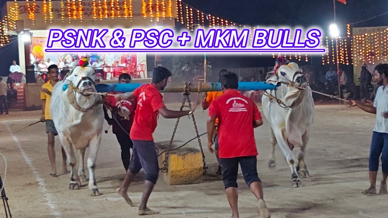 ఆకుల గణపవరం న్యూకేటగిరి 6వ PSNK & PSC BULLS + MKM BULLS..