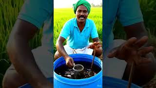 Azotobacter #ಹಾವೇರಿ# @lkotambari