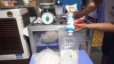 Bài Mồi Bún Ủ Câu Cá Tra Hồ Dịch Vụ