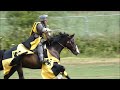 Medieval Cavalry Skill at Arms Display - Battle of Evesham Festival 2025