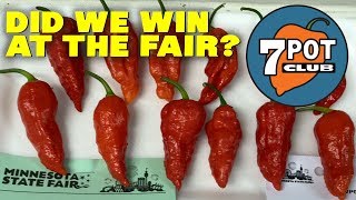 Did Our Hot Peppers Win At The Minnesota State Fair?