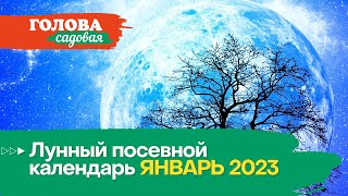 Голова садовая - Лунный посевной календарь ЯНВАРЬ 2023