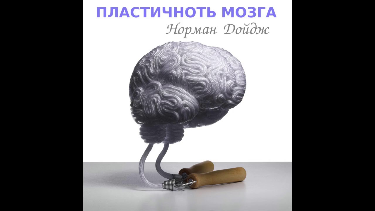 Мозг пластичен. Пластичность мозга. Нейропластичность мозга Дойдж.