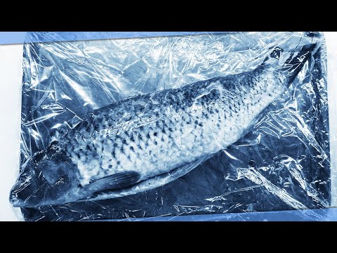 Как правильно разморозить рыбу 🐟 и мясо 🥩