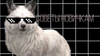 [WildCraft] ||Советы новичкам|| ☕💫 ||6 советов||