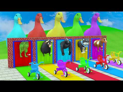 Long Slide Game with Cow Elephant Gorilla Hippopotamus Tiger 3d Animal Game Funny 3d Animals