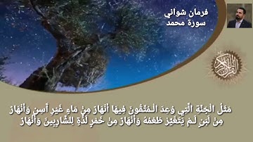 سورة محمد فرمان شواني