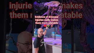 How evidence of dinosaur injuries sadly makes them more relatable ♥️🦖