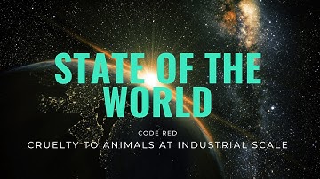 Code Red: Cruelty to Animals at Industrial Scale