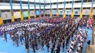 ADSS ACES Day 2016 - Side view