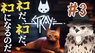 【猫体験（？）】ネコがサイバーパンクに行ってきマスク#3【STRAY】