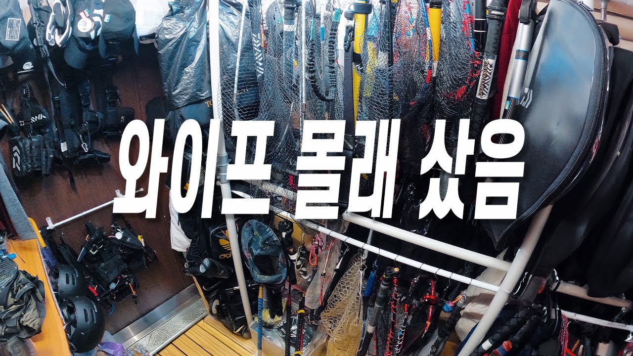 무조건 하나는 사야 할 뜰채, 제가 직접 써봤습니다 (실사용 후기) #뜰채추천 #다이와랜딩폴 #NS뜰채