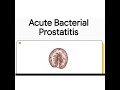 Acute Bacterial Prostatitis | Diagnosis, Management & Clinical Pearls