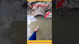 Strange Catch in a Dirty Drain – Unexpected Discovery!🐟#fishing #foryou #fish #shorts
