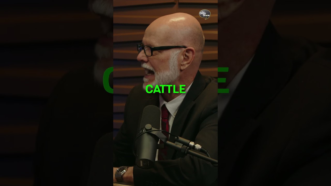 Does Islam respect US Law? (Explained)