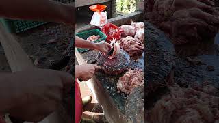 Chicken Cutting Skills: Boosting Productivity and Quality Output