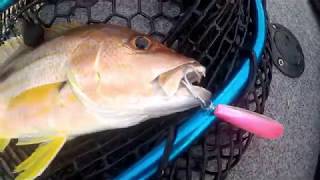 Fat Betty s Day On The Flats