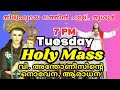 Holy mass  fr alex elanjikkal  14052024